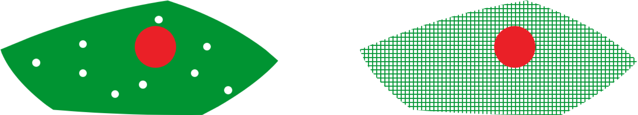 Testing vs. Reasoning